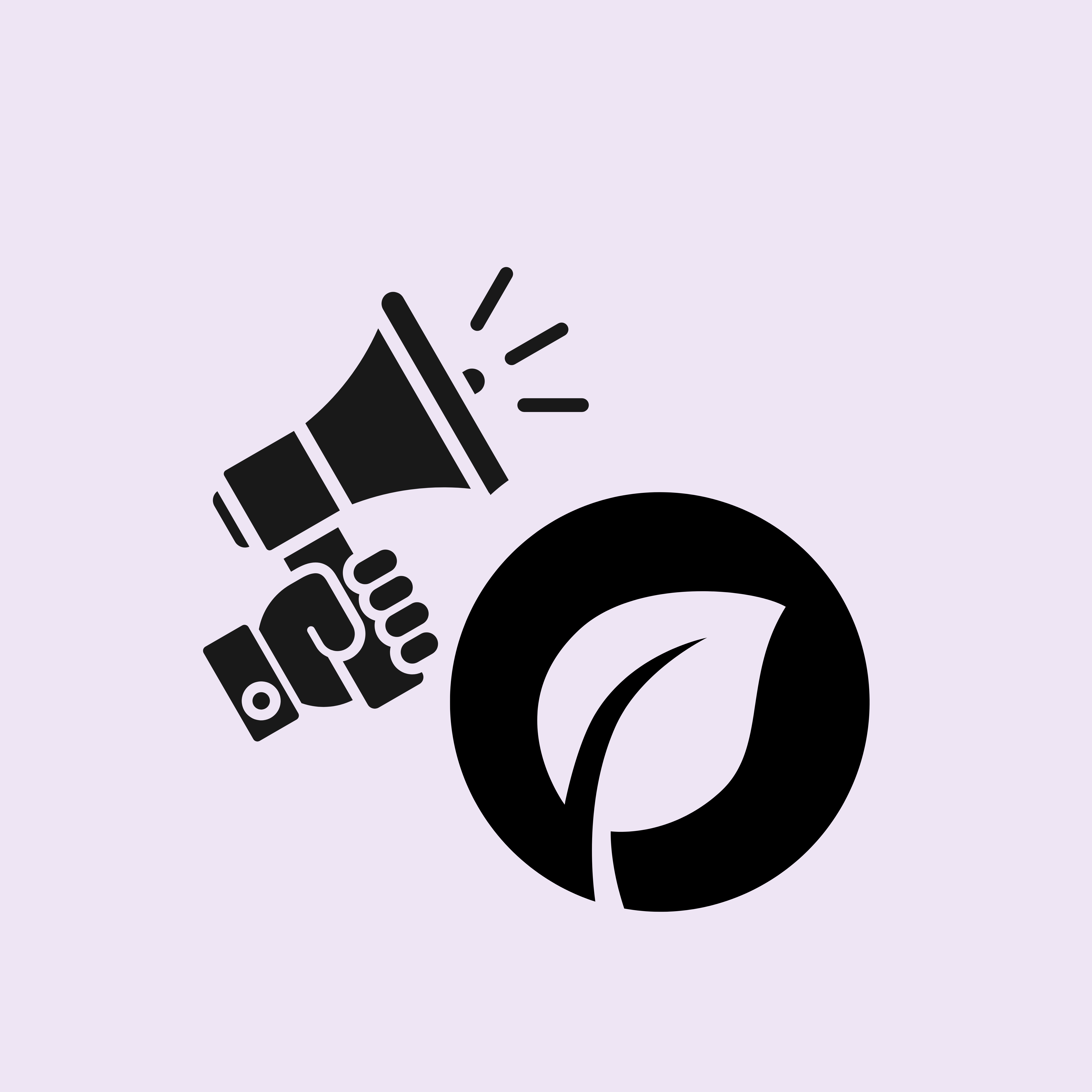 ZERO ORGANIC PROMOTIONS