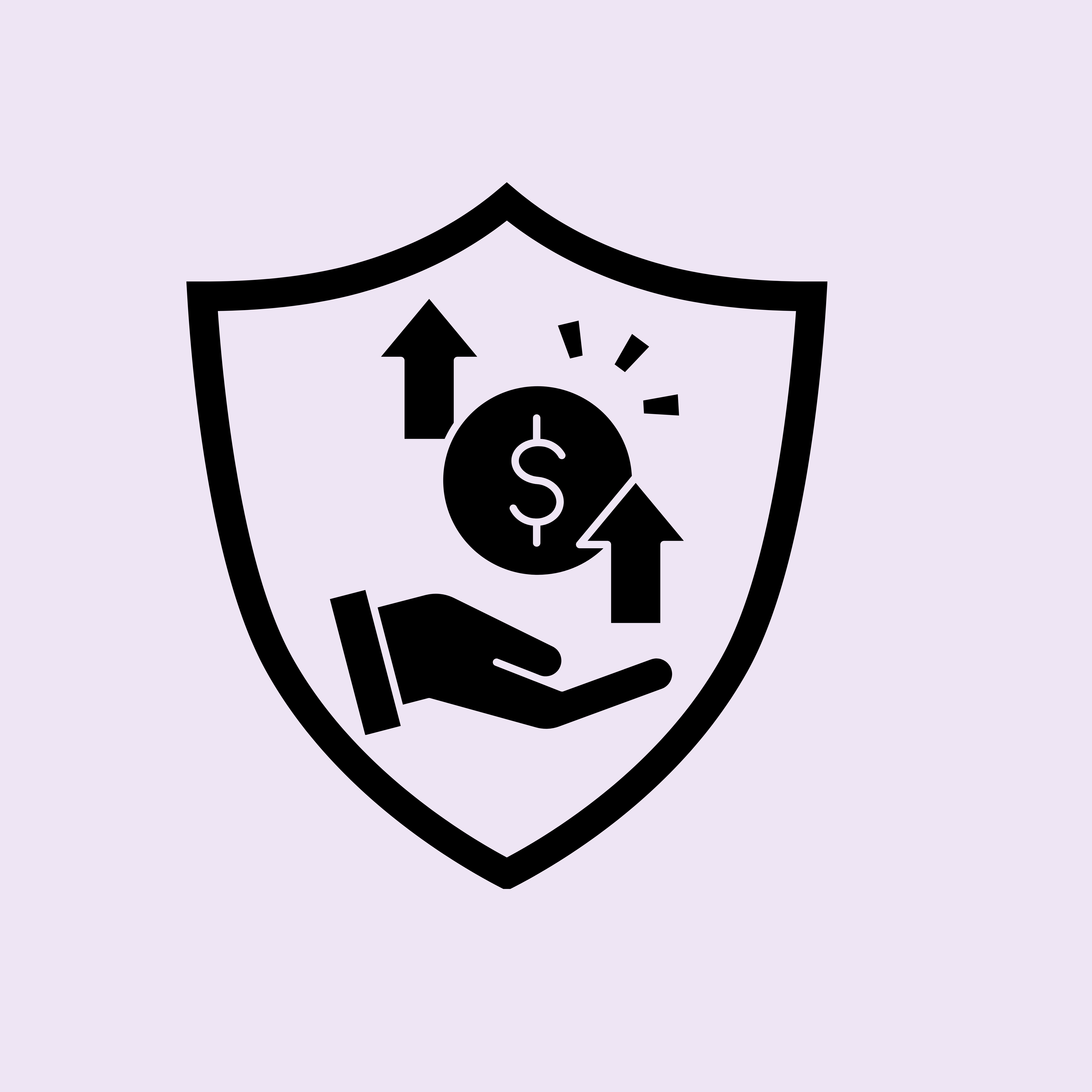 PROFIT PROTECTION CODE